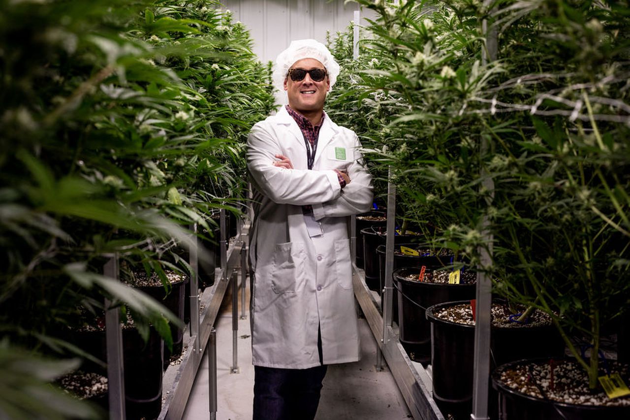 Inside Michigan's biggest marijuana grow operation - mlive.com