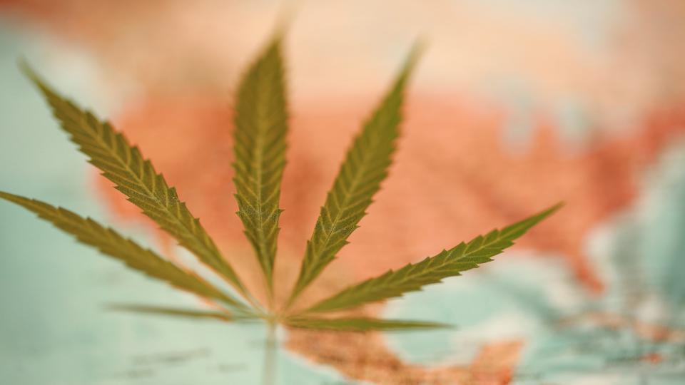 Hawaii's Attorney General Now Backs Legalizing Marijuana And Says He Will Work To Get Reform Passed Next Year!