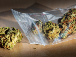 Texas Activists Protest After Local Legislators Reject Voter-Approved Marijuana Legalization Measures!