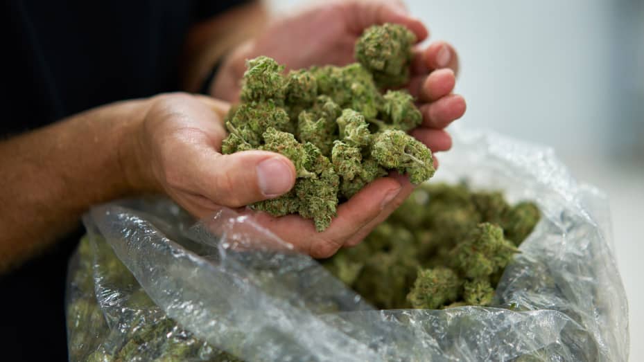 A Banking Bill Sponsored by Weed Is Facing Difficulties, but It Won't Solve Everything