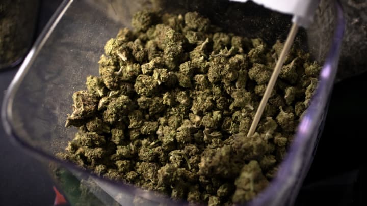 The Illegal Marijuana Market Is Affecting The Legitimate Industry.