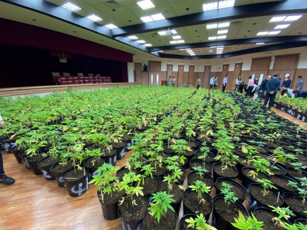 Former Member Of The Taiwanese Wrestling Team Charged For Selling Marijuana!