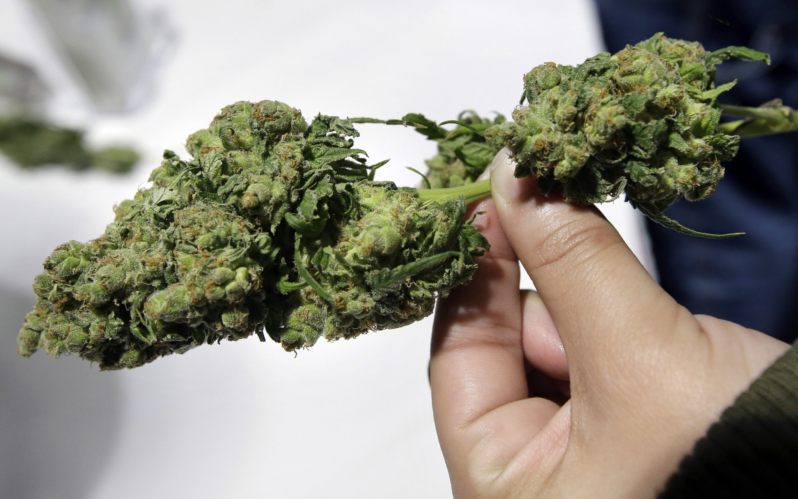 Is The Legal Weed Industry Doomed To Be Controlled By Big Businesses?