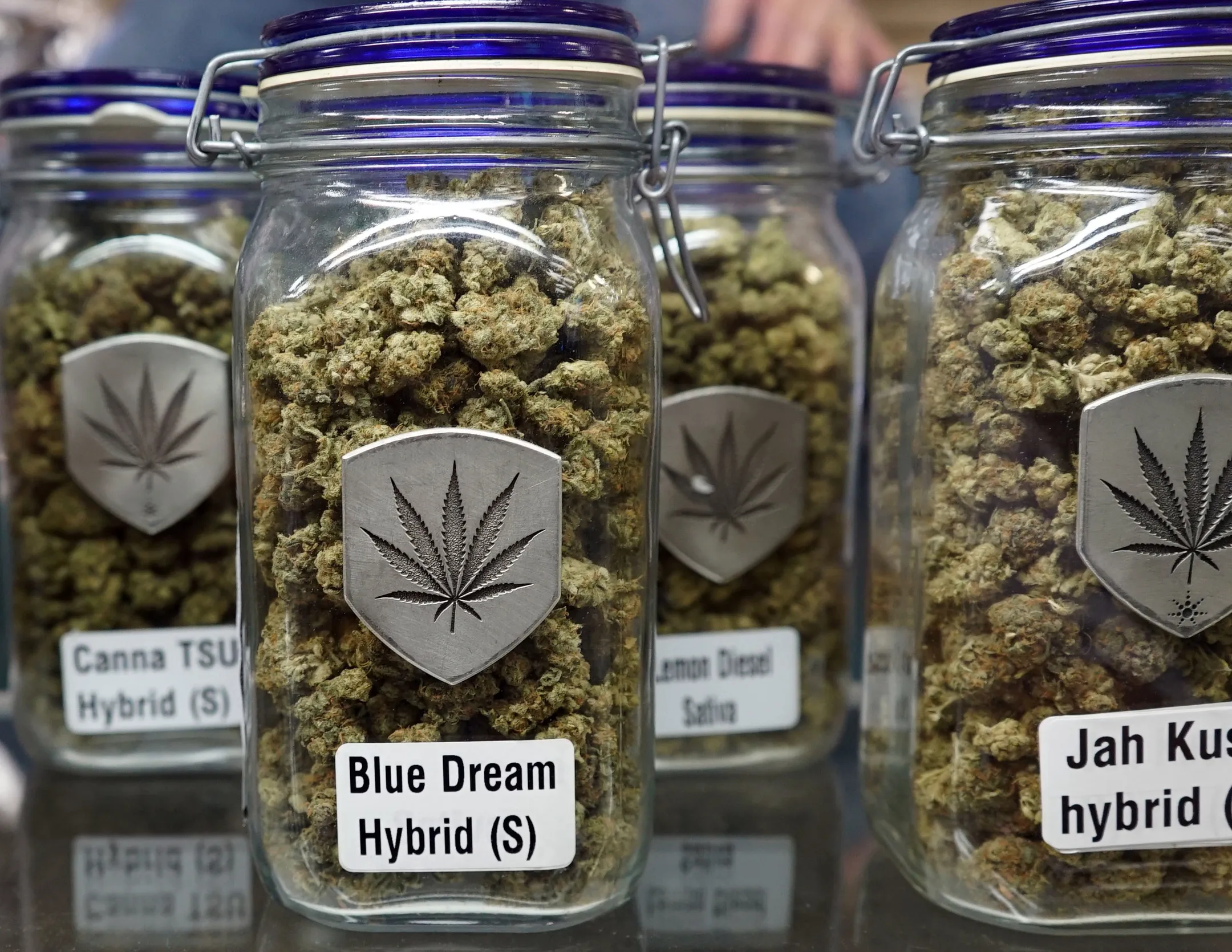 Is The Legal Weed Industry Doomed To Be Controlled By Big Businesses?