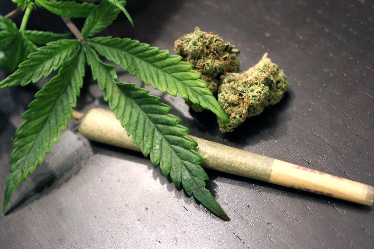 29 Bipartisan Congressmen Encourage Biden to Support Marijuana Legalization!
