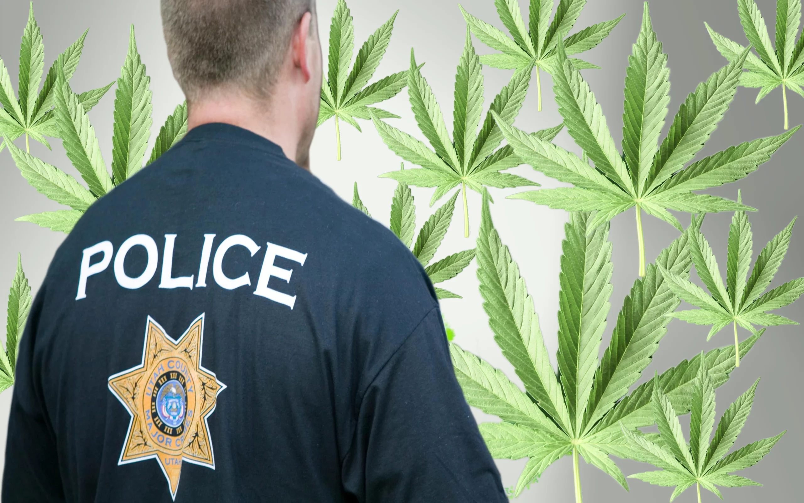 Police Say The Law on Marijuana isn't Clear on How To Enforce It!