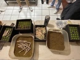 The Sinaloa Cartel's "Narco Juniors" Are Taking Inspiration From California's Stores For Their Marijuana Objectives!