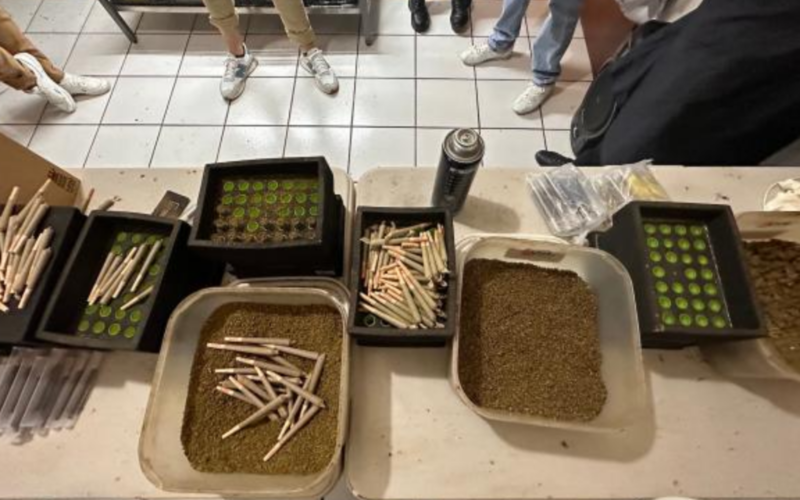 The Sinaloa Cartel's "Narco Juniors" Are Taking Inspiration From California's Stores For Their Marijuana Objectives!