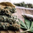 Is The Legal Weed Industry Doomed To Be Controlled By Big Businesses?