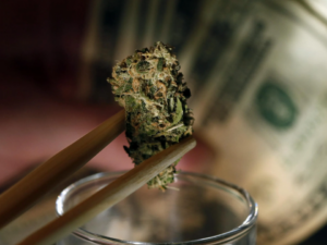 Rotterdam Adopts Legislation To Control Marijuana Dispensaries And Then Use!