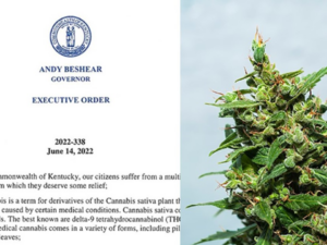 Kentucky Governor Teaches Detectives Regarding Legal Marijuana Order