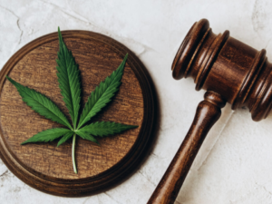 Five Cities in Texas Voted To Stop Making Marijuana a Crime!