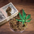 The Illegal Marijuana Market Is Affecting The Legitimate Industry.