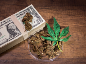 The Illegal Marijuana Market Is Affecting The Legitimate Industry.