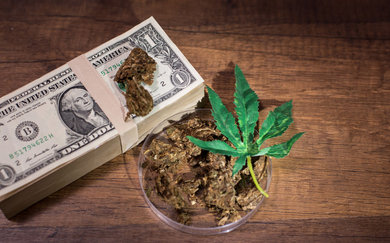 The Illegal Marijuana Market Is Affecting The Legitimate Industry.