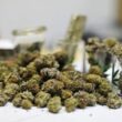 In Connecticut, Recreational Marijuana Sales Will Start in January 2023.!