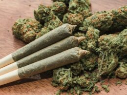 The 10th of January Will Mark the Beginning of Legal Retail Cannabis Sales in Connecticut.