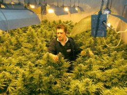 the Legalization of Marijuana in Pennsylvania Was Intended to Help Many People. Fewer People Are Receiving Relief.!