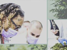 Khalifa Kush, Wiz Khalifa's Own Medical Marijuana Brand, Is Being Promoted While He Is in Town.