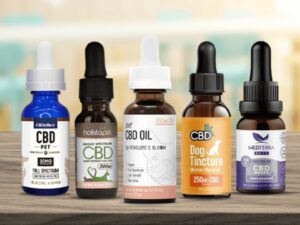 best cbd for anxiety