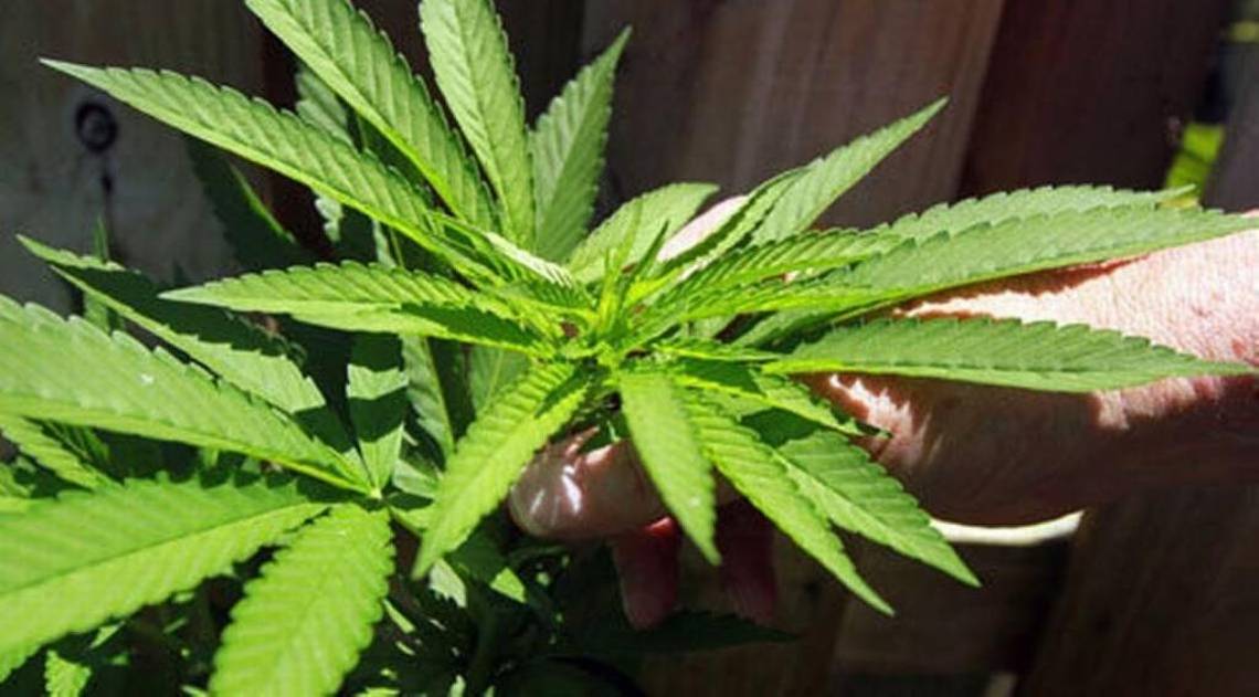 From Marijuana To Tax Reductions: Here's What Ohio Legislators Might Do In The Upcoming Two Years!