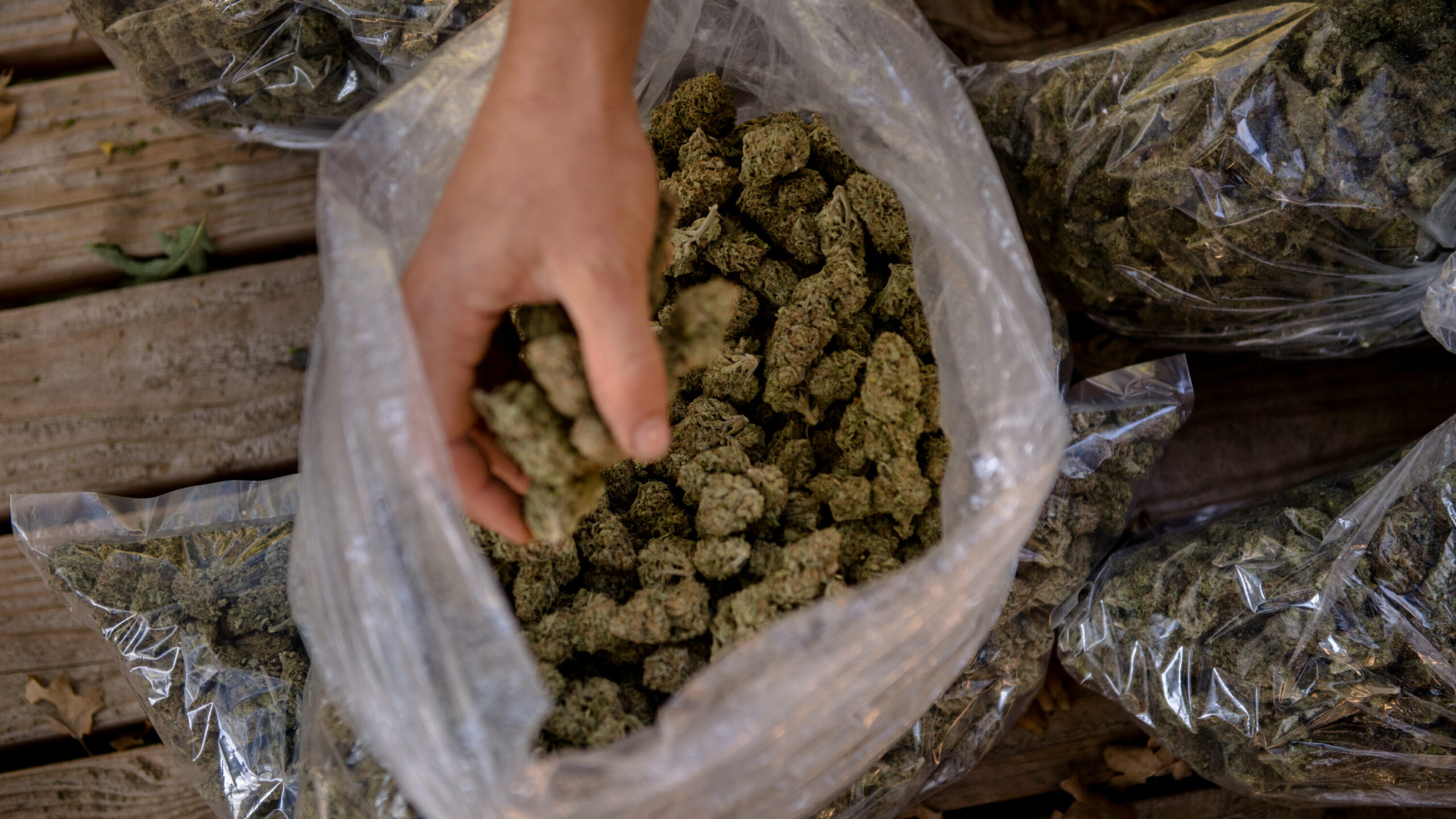 Is The Legal Weed Industry Doomed To Be Controlled By Big Businesses?