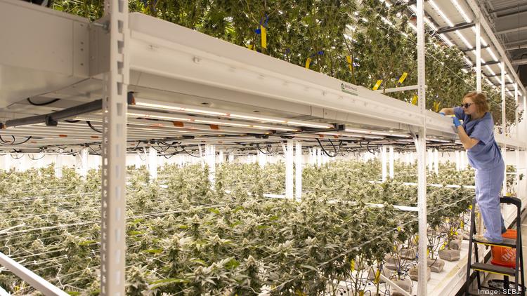 Most Marijuana Facilities In Missouri Applied For New Licenses!