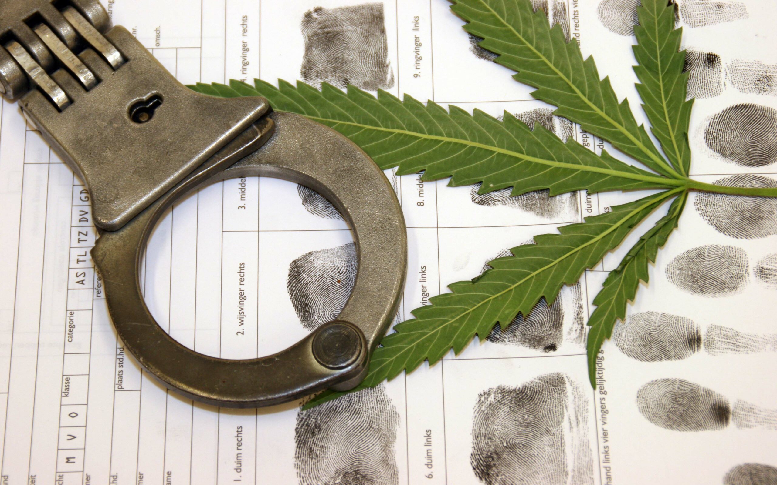 Former Member Of The Taiwanese Wrestling Team Charged For Selling Marijuana!