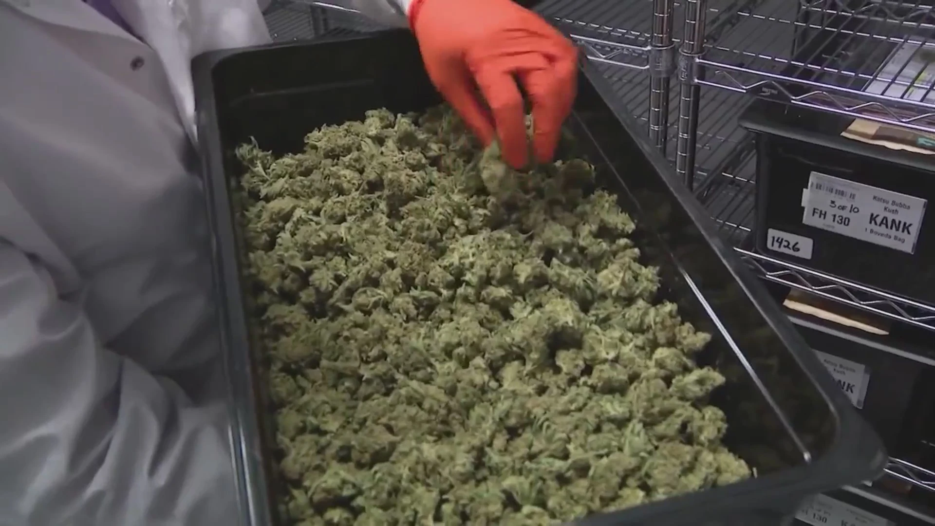 Should KC tax recreational weed to fund community improvements? Voters will decide
Read more at: https://www.kansascity.com/news/politics-government/article271124147.html#storylink=cpy