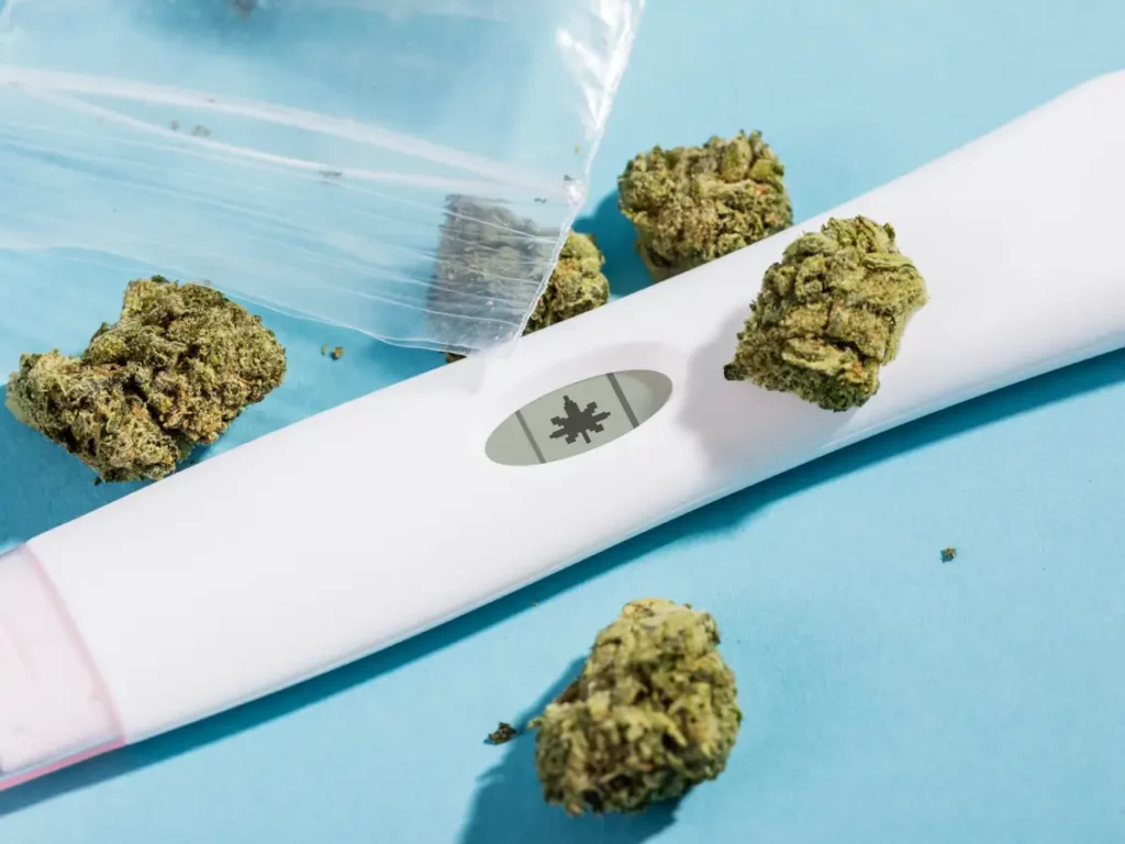 Arizona Child Abuse Registry Removes Pregnant Woman Who Used Medical Marijuana!
