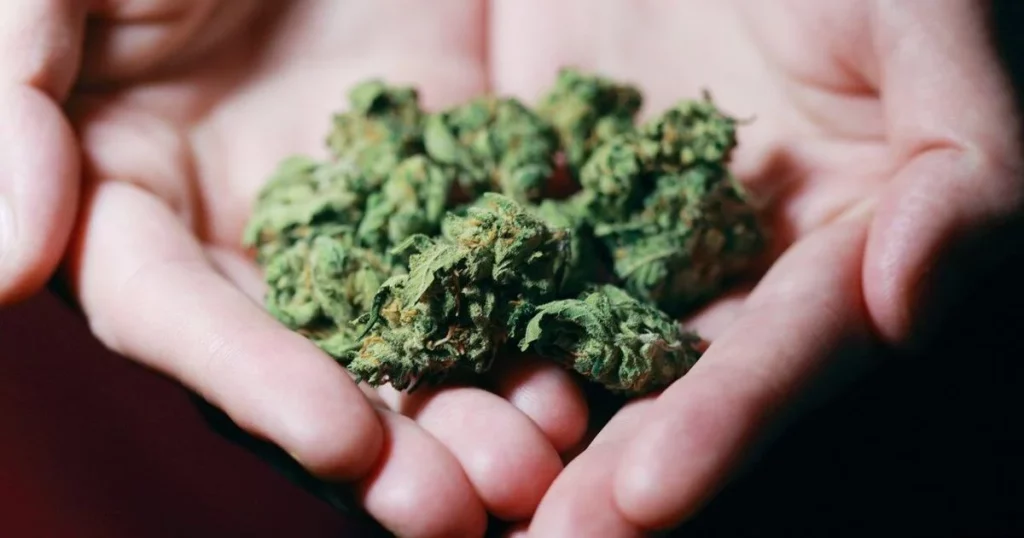 Senate GOP Leader Devin Le Mahieu Stated That The Party is "Near" To Endorsing Medical Marijuana!