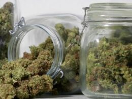 Columbia City Council to discuss marijuana tax, park improvements