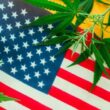 First Marijuana Bill Of The New Congress Is A GOP-Led Gun Rights Measure