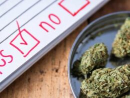 4 states have a good shot at legalizing recreational marijuana in 2023