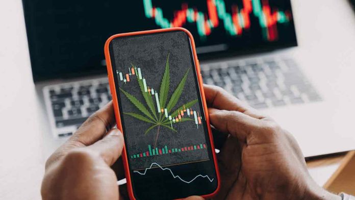 2 Marijuana Stocks To Watch This Monday