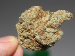 DE legal cannabis hearings this week