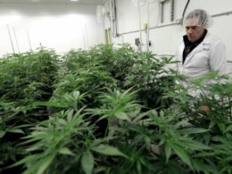 Austin-based dispensary offering eligible veterans free medical marijuana prescription