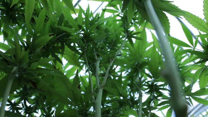 STATE QUESTION 820 RAISES CONCERNS, WHILE OTHERS RESPOND FAVORABLY TO BALLOT MEASURE