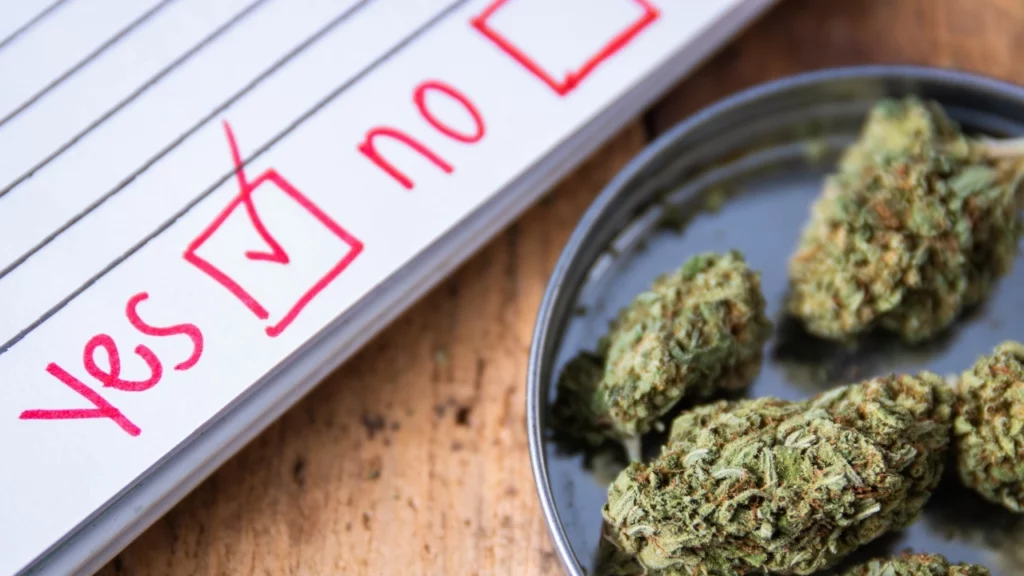 How Marijuana Businesses Are Boosting Customer Loyalty By Offering Seeds To Customers?