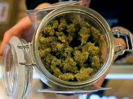 An Introduction To Minnesota's Potential Marijuana Legalization Legislation!