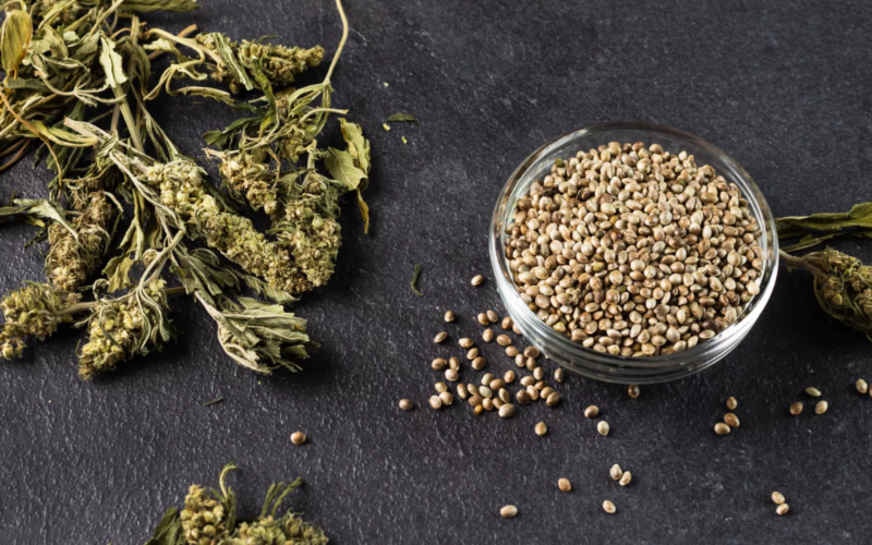 How Marijuana Businesses Are Boosting Customer Loyalty By Offering Seeds To Customers?