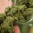 Executive Order Permits Kentuckians To Utilize Legally Purchased Medical Marijuana Goes Into Effect!