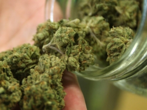 Executive Order Permits Kentuckians To Utilize Legally Purchased Medical Marijuana Goes Into Effect!