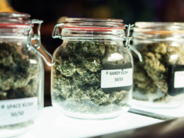 State Officials Say That Montanans Invested $300 Million On Marijuana In 2022!