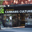 Where And When The 2nd Marijuana Dispensary in New York City Will Be Opened!