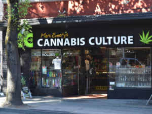 Where And When The 2nd Marijuana Dispensary in New York City Will Be Opened!