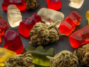 Wichita Student Hospitalized After Eating Marijuana-Infused Gummy!