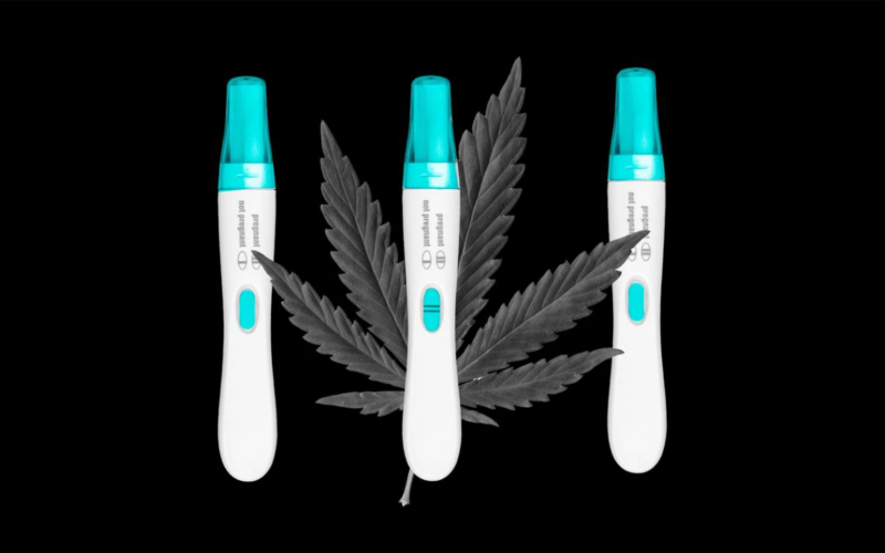 Arizona Child Abuse Registry Removes Pregnant Woman Who Used Medical Marijuana!