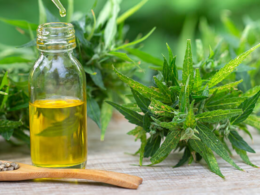 What Employers Must Need to Know About Marijuana Laws
