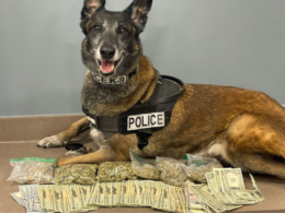 Texas K-9 Finds $1.7 Million Worth of Marijuana And Mushroom-Laced Candy Bars in Traffic Check, Deputies Say